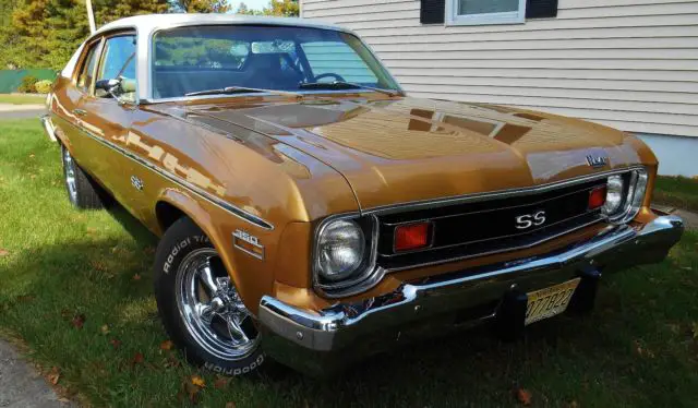 1974 chevy nova interior