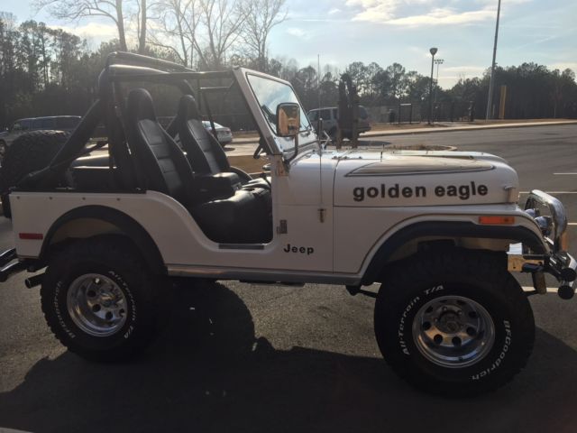 1979 Jeep CJ5 Golden Eagle for sale - Jeep CJ 1979 for sale in