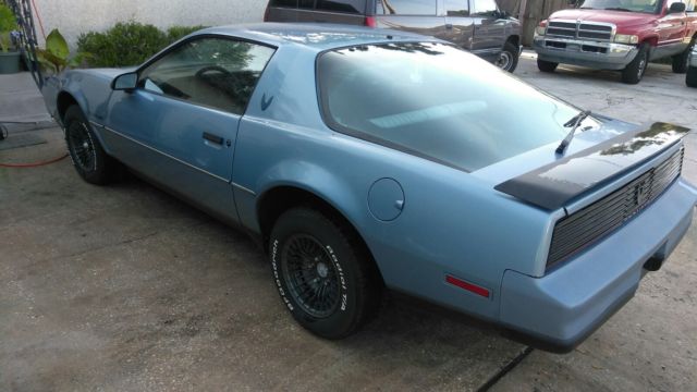 1982 Pontiac Trans Am 1 Owner 41k Miles What A Very Nice Find Must See