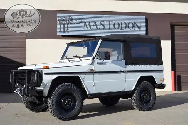 19 White G Wagon Class Series Mastodon Defender D 90 For Sale Mercedes Benz G Class G Wagon Class Series 19 For Sale In Wheat Ridge Colorado United States