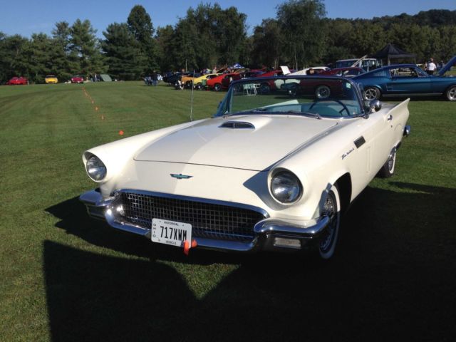 61 t bird for sale
