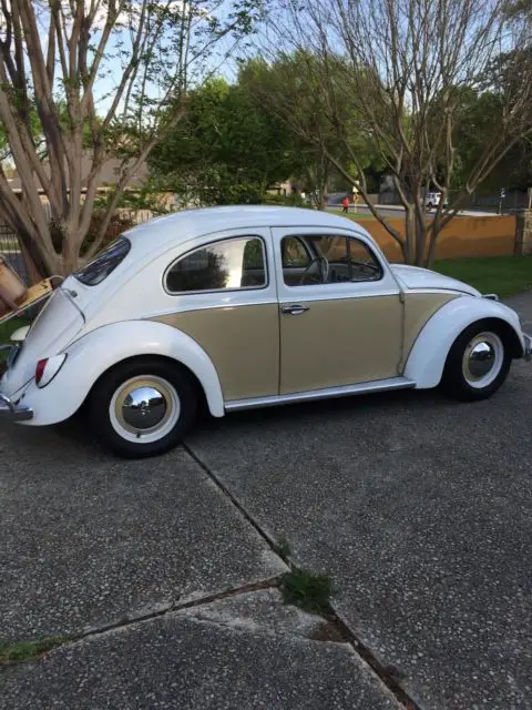 1963 BEAUTIFUL CLASSIC VW for sale - Volkswagen Beetle - Classic 1963 ...