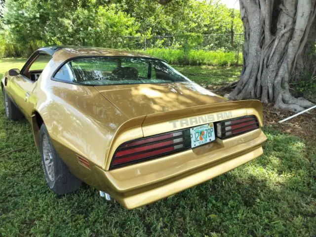 1978 Pontiac Trans Am Coupe Brown RWD Automatic for sale - Pontiac ...