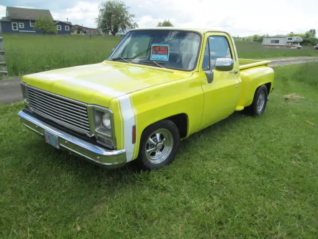 1979 Chevy Stepside C10 For Sale