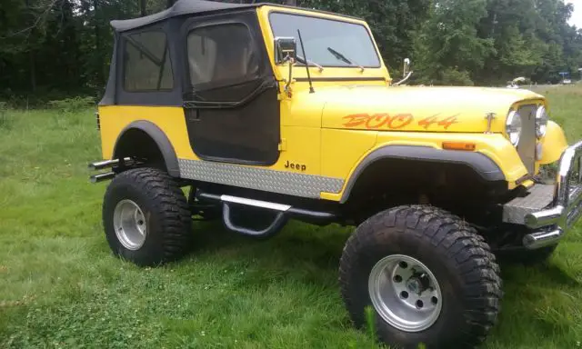 1979 jeep for sale