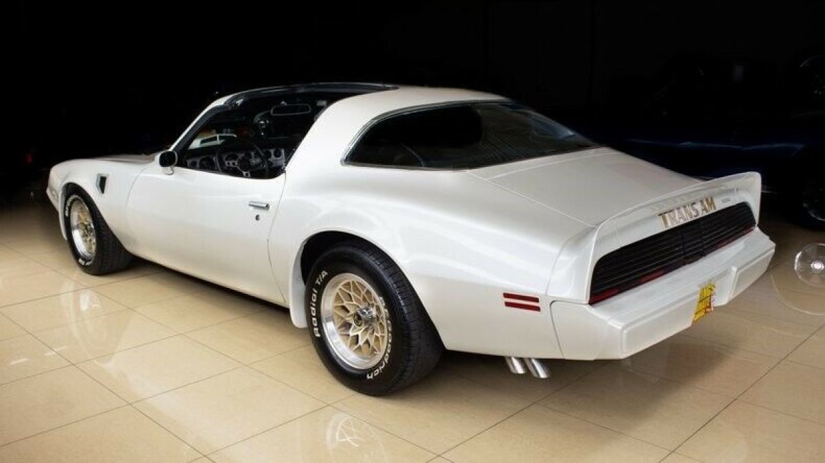 1979 Pontiac Firebird Trans Am Flemings Ultimate Garage for sale ...