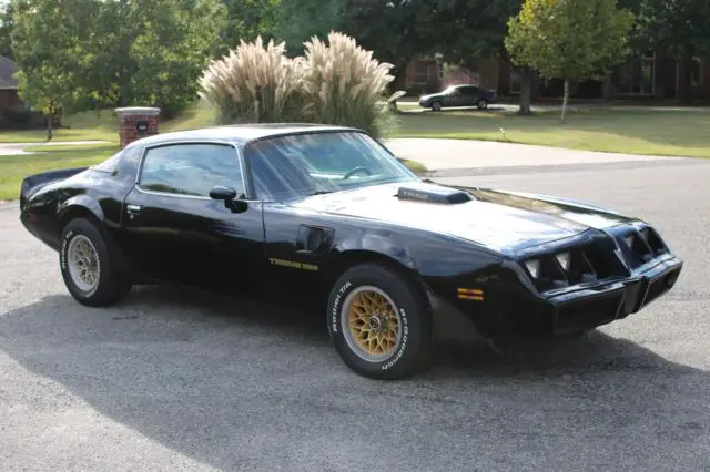 1979 Pontiac Trans Am **great driving T/A** for sale - Pontiac Trans Am ...