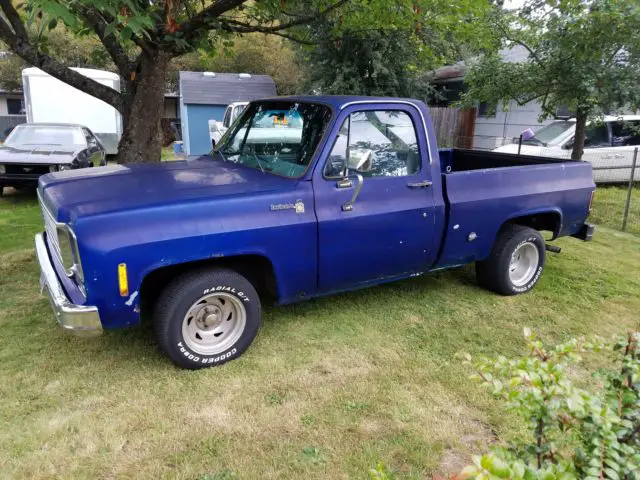 78 Chevrolet pu swb for sale - Chevrolet C-10 1978 for sale in Portland ...