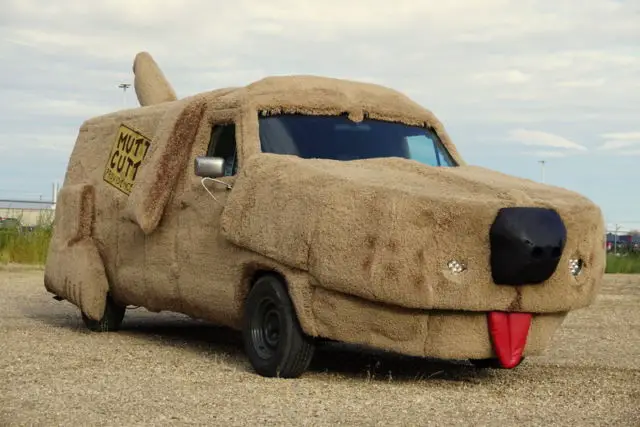 A Tribute Mutt Cutts Van from the Movie Dumb and Dumber, SHAGGIN WAGON ...