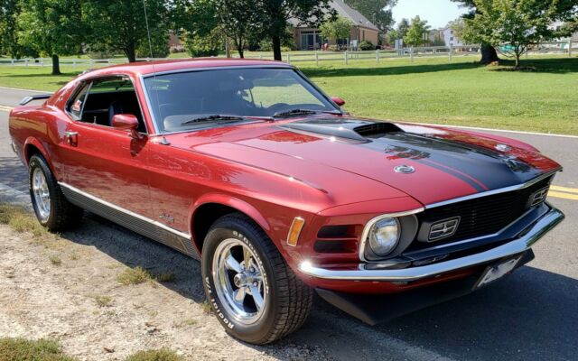 Cleveland Car! for sale - Ford Mustang Mach 1 1970 for sale in Ballwin ...