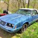 1983 Blue Ford Mustang thumbnail