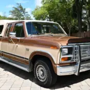 1986 Brown Ford F-150 thumbnail