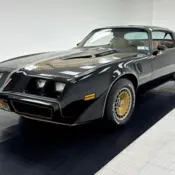 1981 Starlite Black Pontiac Firebird thumbnail