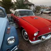 1955 Red Ford Thunderbird thumbnail