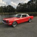 1965 Poppy Red Ford Mustang thumbnail