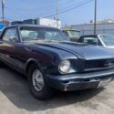 1966 -- Ford Mustang thumbnail