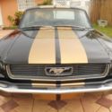 1966 BLACK AND GOLD STRIP Ford Mustang thumbnail