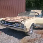 1967 Yellow Oldsmobile 442 thumbnail