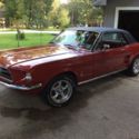 1967 Red Ford Mustang thumbnail