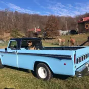 1968 Blue Dodge 1/2 Ton Pickup thumbnail