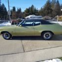 1971 lime mist Buick Skylark thumbnail
