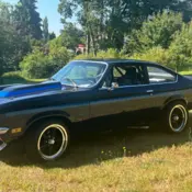 1971  Chevrolet Hatchback thumbnail