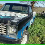 1976 Other Color Chevrolet Stepside thumbnail
