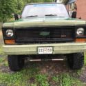 1976  Chevrolet C/K Pickup 1500 thumbnail