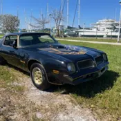 1976 Black Pontiac Firebird thumbnail