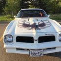 1976 White Pontiac Trans Am thumbnail