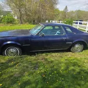 1977 Blue Buick Century thumbnail