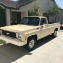 1977 Tan Chevrolet C20 thumbnail