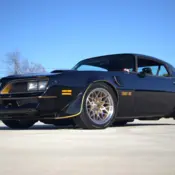 1977 STARLIGHT BLACK Pontiac Firebird thumbnail