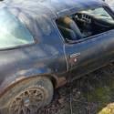 1977  Pontiac Trans Am thumbnail