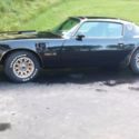 1977 Black Pontiac Trans Am thumbnail