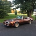 1978 Tan Pontiac Trans Am thumbnail