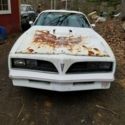 1978 White Pontiac Trans Am thumbnail