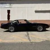 1979 Black Pontiac Firebird thumbnail