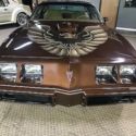 1979  Pontiac Trans Am thumbnail