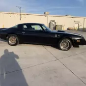 1979 Black Pontiac Trans Am thumbnail