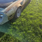 1979  Pontiac Trans Am thumbnail