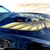 1979 Black Pontiac Trans Am thumbnail