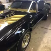 1979 Black Pontiac Trans Am thumbnail