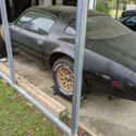 1979 Black Pontiac Trans Am thumbnail
