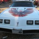 1979 White Pontiac Trans Am thumbnail
