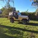 1980  Jeep CJ thumbnail