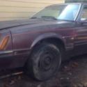 1980 Burgundy Ford Mustang thumbnail