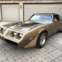 1980  Pontiac Trans Am thumbnail
