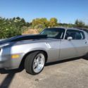1981 Silver Chevrolet Camaro thumbnail