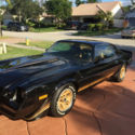 1981 Black Chevrolet Camaro thumbnail